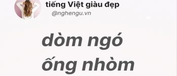 Dòm ngó hay nhòm ngó, ống nhòm hay ống dòm đúng chính tả?