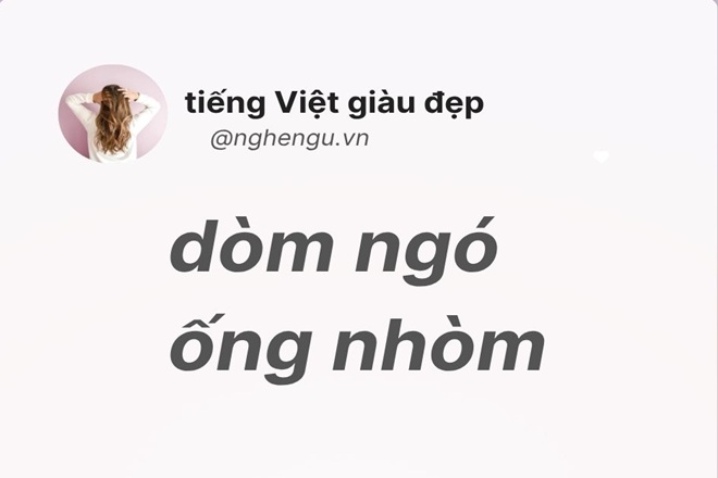 dom ngo hay nhom ngo