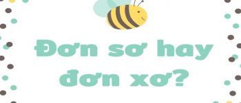 Đơn sơ hay đơn xơ viết đúng chính tả? Cách phân biệt xơ hay sơ