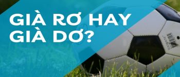 Già dơ hay già rơ mới là từ đúng chính tả?