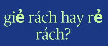 Giẻ rách hay rẻ rách viết đúng? Vì sao nhiều người nhầm lẫn?