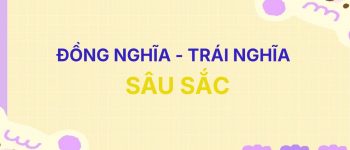 [Hay] Từ đồng nghĩa và trái nghĩa với từ Sâu Sắc