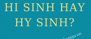 Hi sinh hay hy sinh là đúng? Hy vọng hay hi vọng mới chính xác?