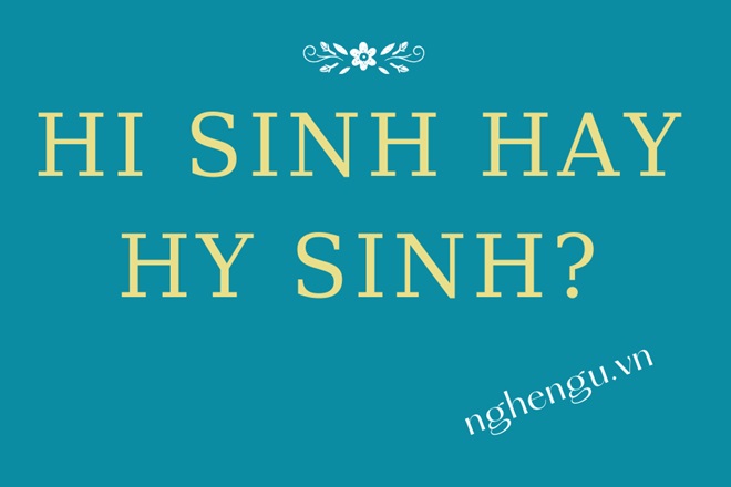 hi sinh hay hy sinh