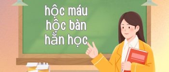 Hộc máu hay học máu? Hộc bàn hay học bàn? Hằn hộc hay hằn học?