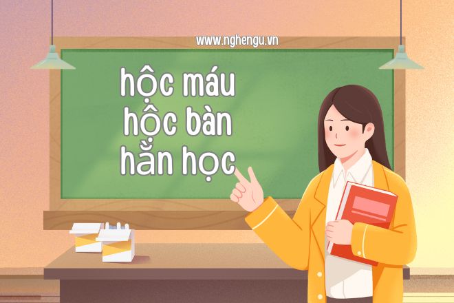 hoc mau hay hoc mau