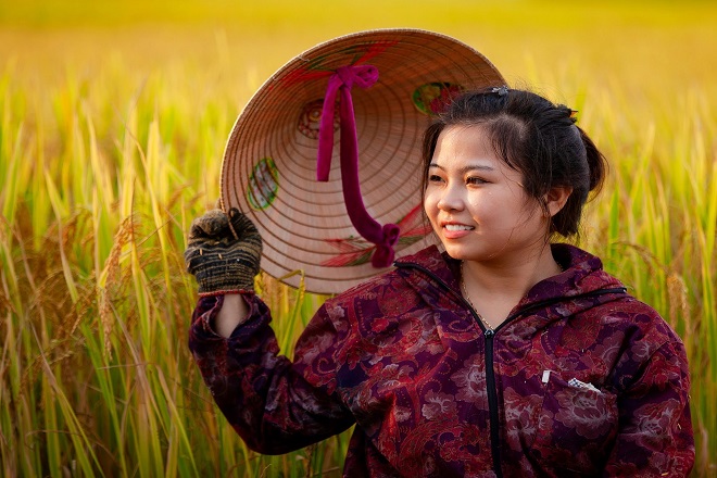 Học tiếng Nghệ An Hà Tĩnh
