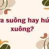 hua suong hay hua xuong