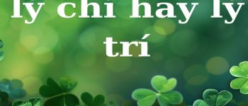 Lý chí hay lý trí đúng? Phân biệt giữa ý chí hay lý trí