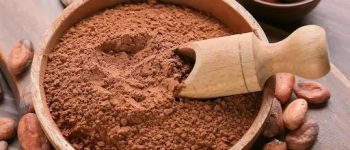 [Mách bạn] 5 cách pha bột cacao giảm cân hiệu quả nhất