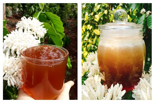 mật ong hoa cà phê bao nhiêu một lít