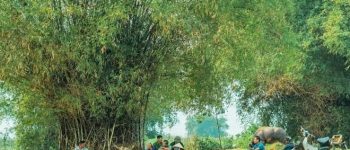 Mô tiếng miền Trung là gì? Giải đáp từ mô trong tiếng Nghệ?