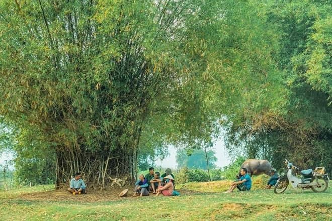 mô tiếng miền trung là gì