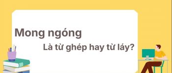 Mong ngóng là từ ghép hay từ láy? Phân loại chuẩn xác!