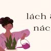 nach hay lach