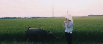 Ngất ngất tiếng Nghệ An là gì? Dùng trong trường hợp nào?