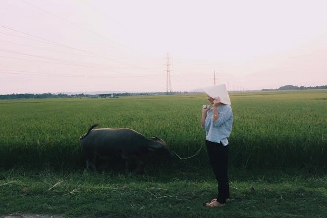 Ngất ngất tiếng Nghệ An là gì