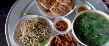 Ngấy là gì? Cây ngấy và chán ngấy là sao? A-Z nghĩa từ ngấy