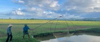 Những câu ca dao tục ngữ về Hà Tĩnh