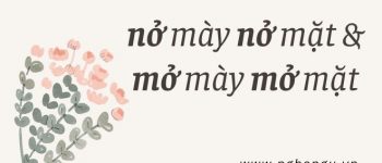 Nở mày nở mặt và mở mày mở mặt khác nhau như thế nào?