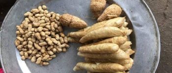 Nớ tề là gì trong tiếng Nghệ?