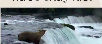 Nước chảy xiết hay chảy siết mới đúng chính tả?