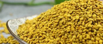 Phấn hoa mật ong cùng những công dụng không ngờ