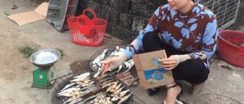 Sọi gấy là gì trong cách gọi của người Nghệ?