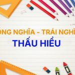 Từ đồng nghĩa và trái nghĩa với từ Thấu Hiểu