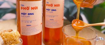 Top 4 lý do giải thích tại sao mật ong hoa cà phê lại rẻ