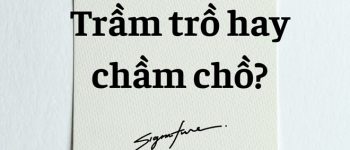 Trầm trồ hay chầm chồ? Bảng phân biệt trầm hay chầm chi tiết