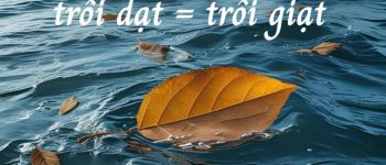 Trôi giạt hay trôi dạt, bèo giạt hay bèo dạt mới đúng chính tả?