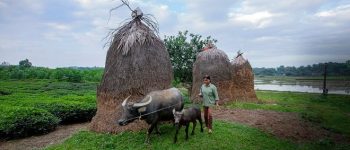 Từ điển ca dao tục ngữ Nghệ Tĩnh (vần B)