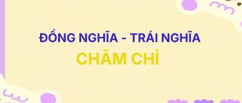 ✨ Từ đồng nghĩa và trái nghĩa với từ Chăm Chỉ [Full]