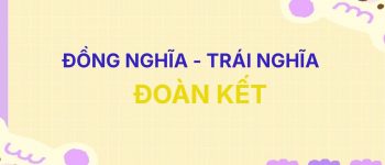 ✨ Từ đồng nghĩa và trái nghĩa với từ Đoàn Kết [Full]