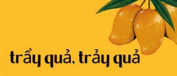 Viết chảy quả hay trảy quả, trảy hội hay trẩy hội mới đúng?