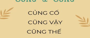 Viết cũng hay củng? Củng cố hay cũng cố? Cũng vậy hay củng vậy?