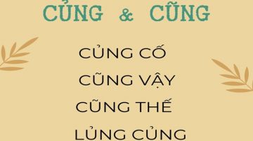 cung hay cung