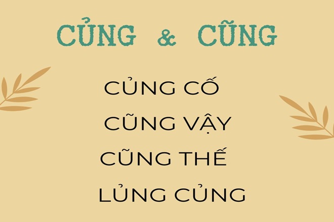 cung hay cung