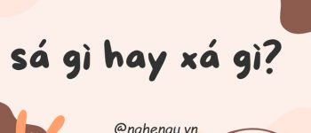 Viết sá gì hay xá gì? Sá chi hay xá chi mới đúng chính tả?