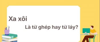 Xa xôi là từ ghép hay từ láy? Học thuộc ngay hôm nay!