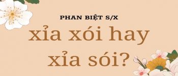 Xỉa xói hay xỉa sói viết đúng? Phân biệt xói và sói chi tiết