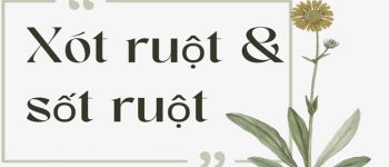 Xót ruột hay sót ruột, sốt ruột hay xót ruột đúng chính tả?